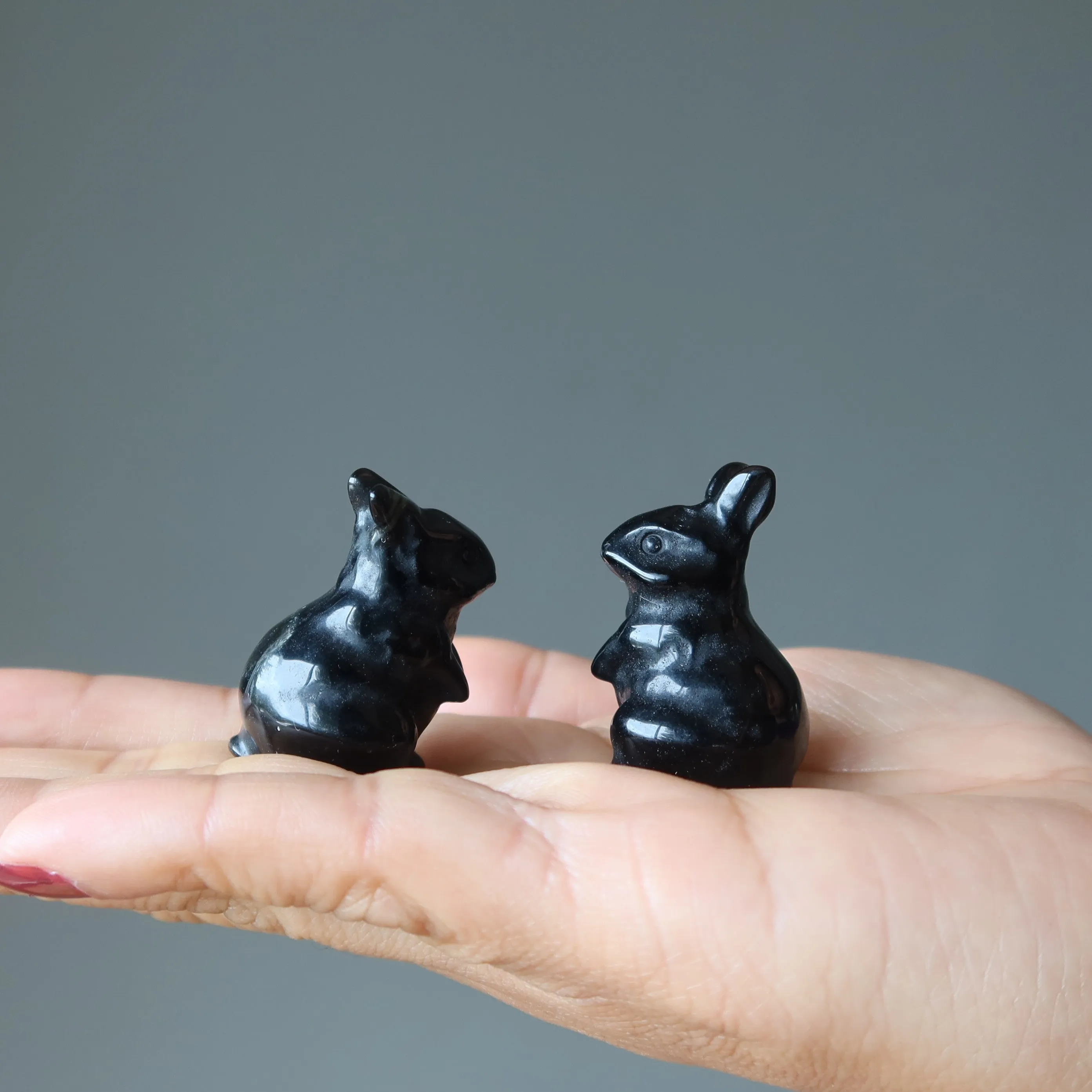 Black Obsidian Rabbit Adorable Protector Bunny Stone