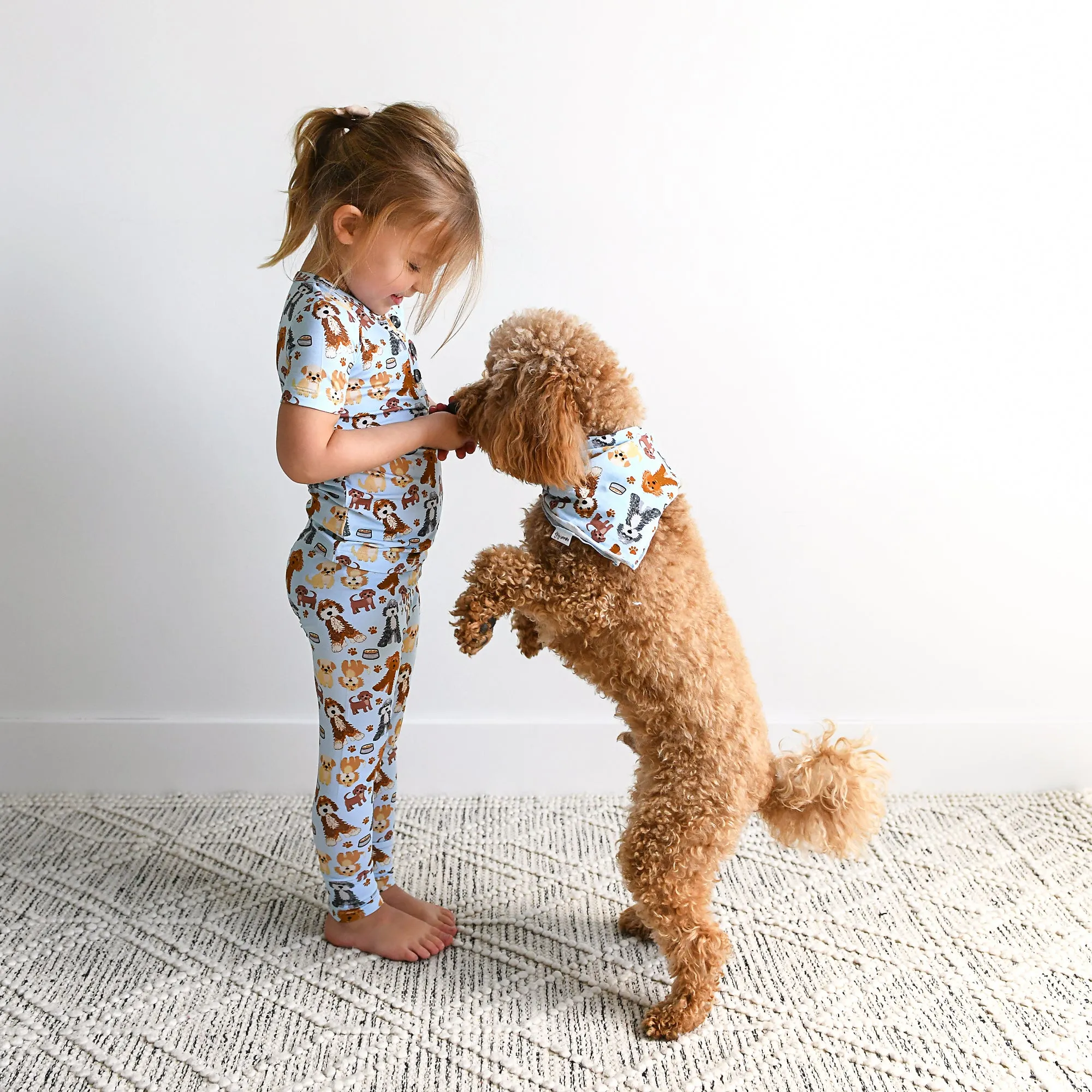 Griffin TWO PIECE