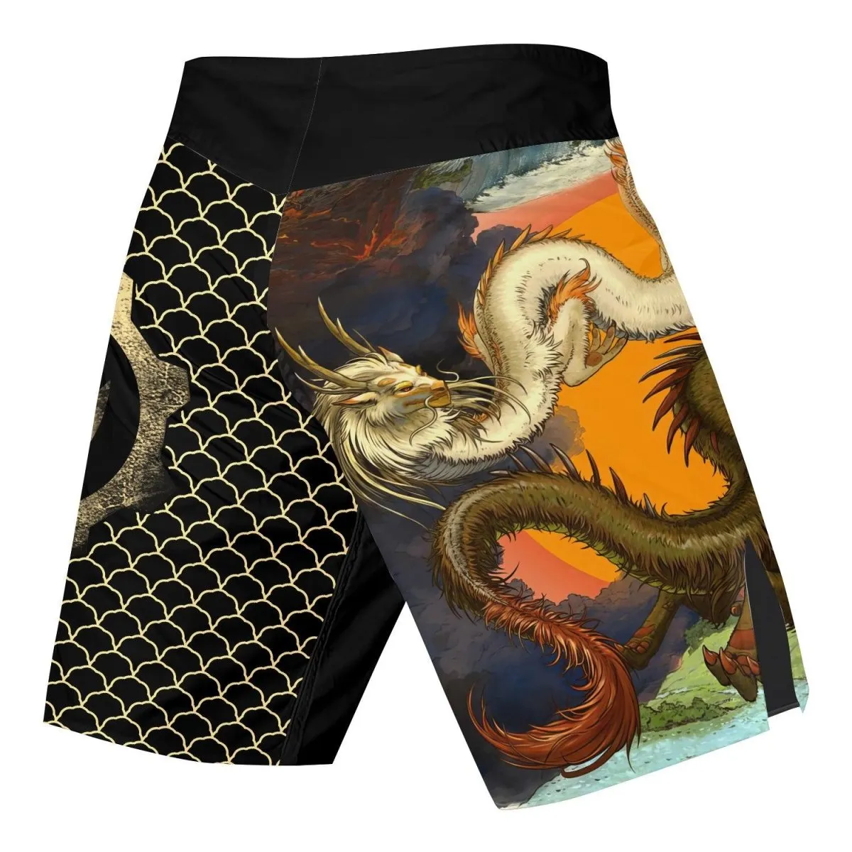 Twin Dragon Fight Shorts