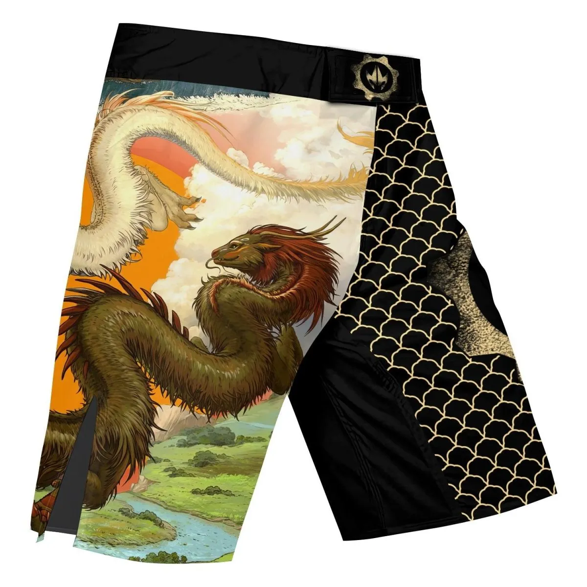 Twin Dragon Fight Shorts