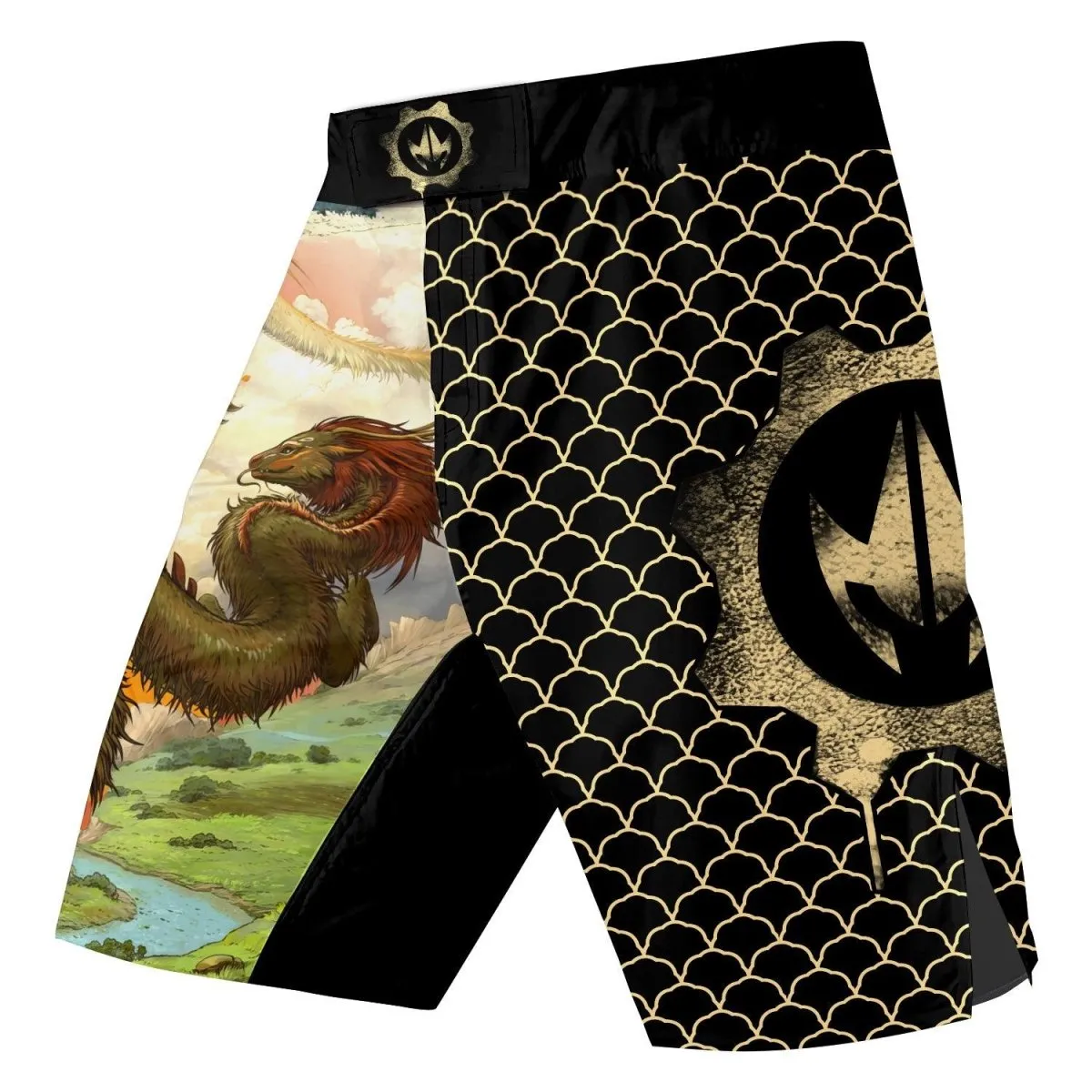 Twin Dragon Fight Shorts